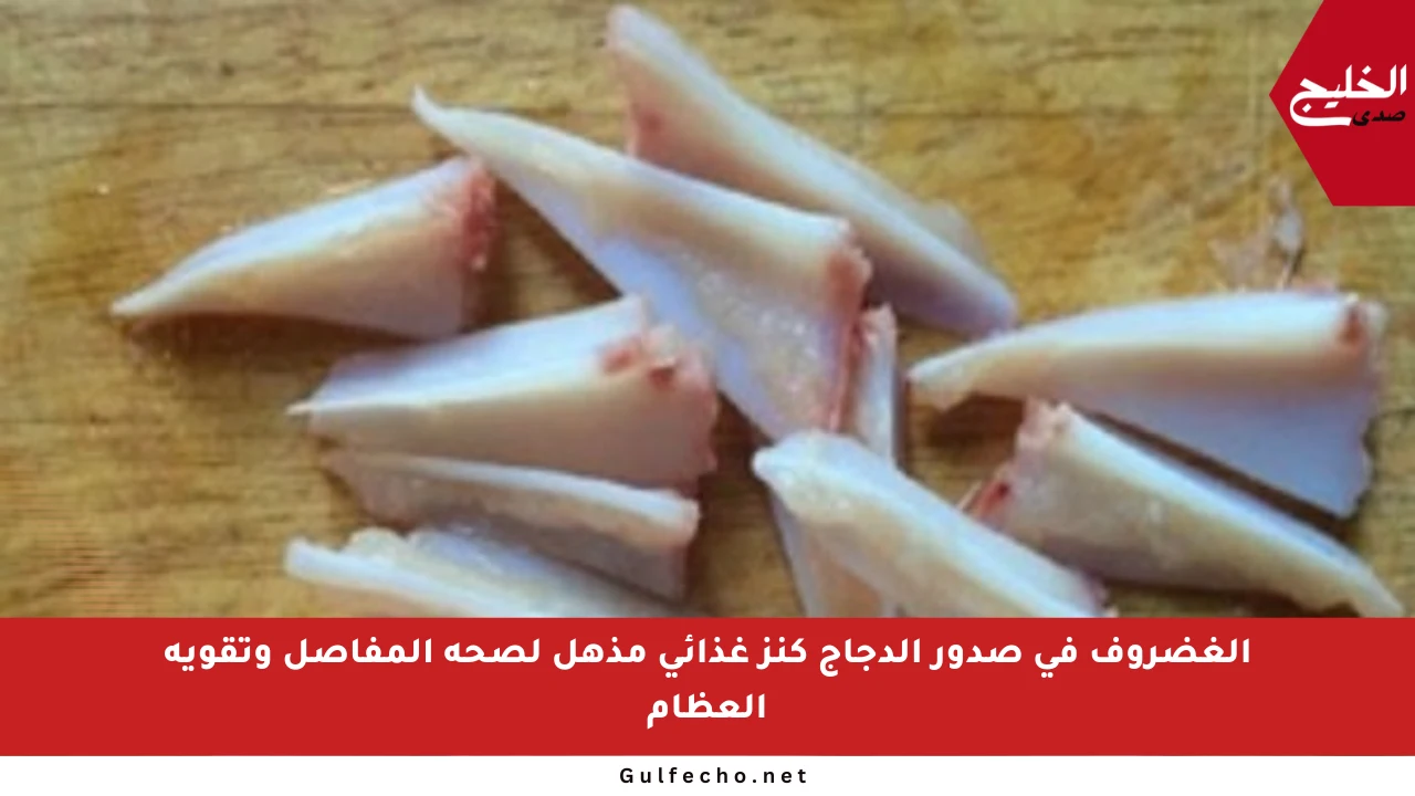 الغضروف في صدور الدجاج كنز غذائي مذهل لصحة المفاصل وتقوية العظام